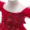 Vestido de Niña - Imagen 10